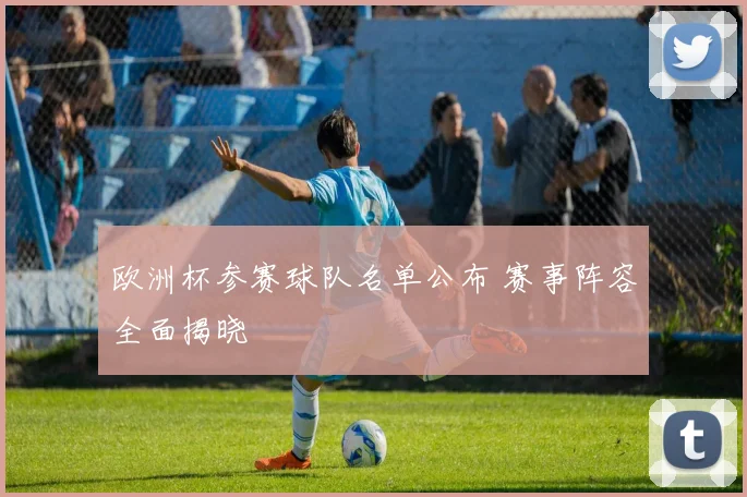 欧洲杯参赛球队名单公布 赛事阵容全面揭晓