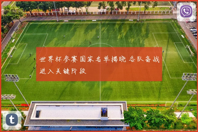 世界杯参赛国家名单揭晓 各队备战进入关键阶段