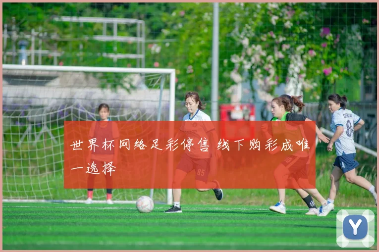 世界杯网络足彩停售 线下购彩成唯一选择